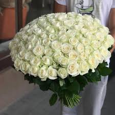 101 ADET BEYAZ GÜL - Görsel 5