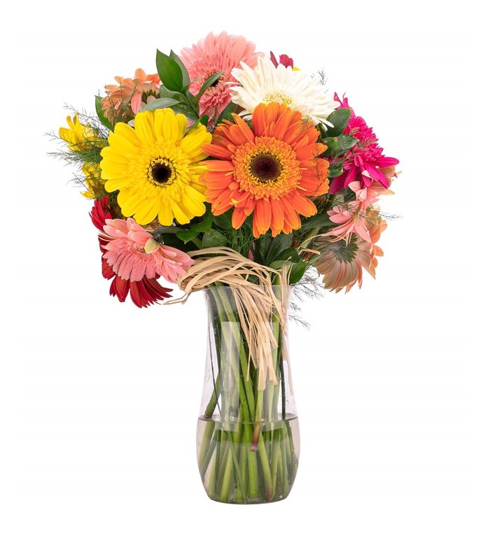 VAZODA RENKLİ GERBERA - Görsel 3