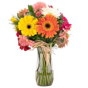 VAZODA RENKLİ GERBERA