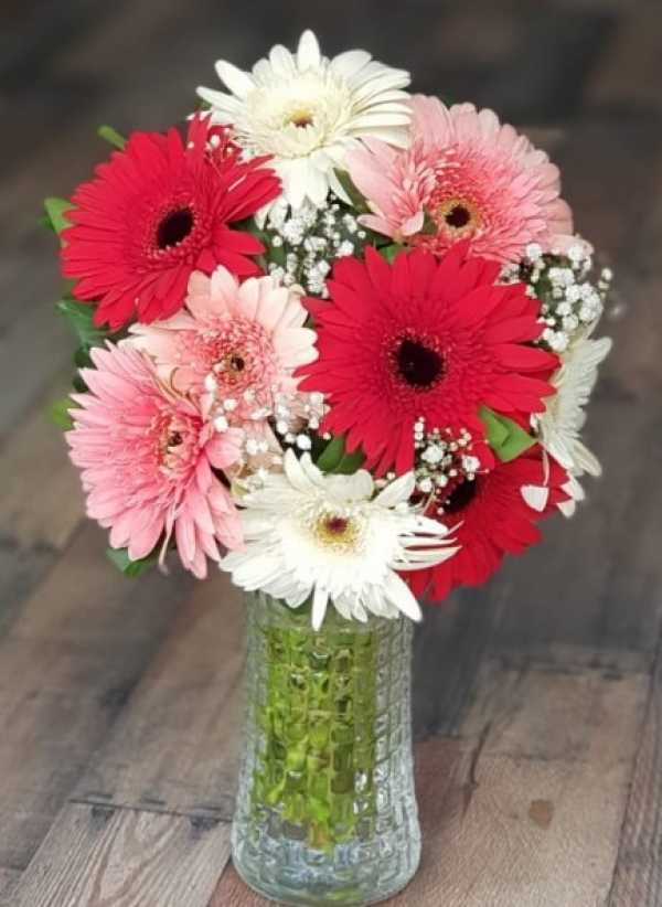 VAZODA RENKLİ GERBERA - Görsel 4
